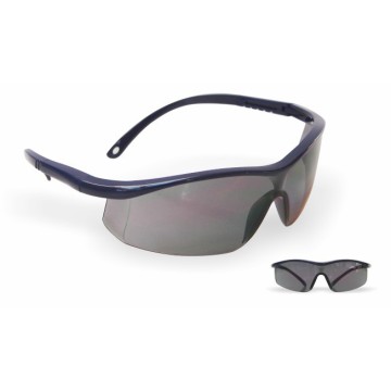 ANTEOJO POLICARBONATO ARGON ELITE GRIS AF LIBUS LIBUS