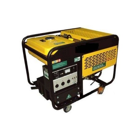 GRUPO ELECTROGENO - GNW-100-ER - 10 KVA - 20HP - NIWA